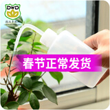 德沃多多肉植物专用喷壶 挤压式尖嘴浇水瓶 浇水利器浇水壶多肉浇花器 弯嘴浇水壶250ml