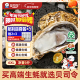 贝司令 鲜活乳山生态生蚝6XL 净重9斤 12-16只 生鲜源头直发 年货送礼