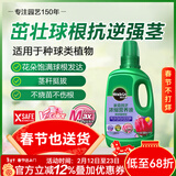 美乐棵种球营养液郁金香风信子马蹄莲植物花肥肥料浓缩植物营养液500ML