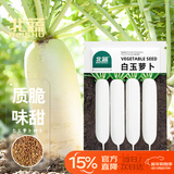 北蔬 白萝卜种子苗大根大白萝卜冬春季盆栽蔬菜籽 白玉萝卜种子300粒