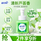 蓝月亮洗手液255ml芦荟抑菌大瓶 泡沫丰富易冲洗 氨基酸滋润更护手