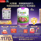 君乐宝小小鲁班诠维爱AII儿童配方奶粉4段(3周岁以上)800g*6 乳铁蛋白