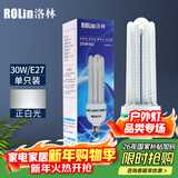 洛林（ROlin）led灯泡节能灯泡 e27大螺口家用商用大功率光源 30W白光