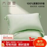 太湖雪枕套一对装A类100%兰精天丝面料莱赛尔抗菌床单隔脏被单 春竹绿枕套*2【48x74cm】 A类抗菌100%天丝面料 48cm*74cm