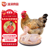 温润食品岭南老母鸡2.4斤农家散养笨鸡500天龄以上生鲜鸡肉老母鸡汤柴鸡