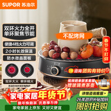 苏泊尔（SUPOR）迷你电陶炉 煮茶器煮茶炉煮茶壶 养生围炉煮茶泡茶办公家用不挑器具SW-DTL05