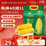 十月稻田 四平黄甜糯玉米 8根 3.52斤 东北黏玉米棒 真空包装 非转基因