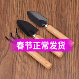 德沃多 多肉植物种植工具套装花铲 园艺庭院多功能工具组合清洁工具铲子 工具三件套