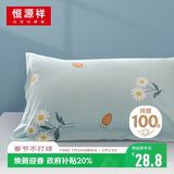 恒源祥100全棉枕套单只装抗菌纯棉枕头套单人48x74cm枕芯套男加大家用