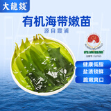 大龍燚有机海带苗250g*3袋装盐渍鲜嫩海带芽火锅食材海鲜凉拌