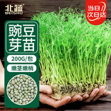北蔬 豌豆苗种子种苗水培土培龙须菜豆苗四季种 青豌豆芽苗菜种子200g