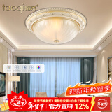 韬齐 欧式吸顶灯客厅现代简约主卧室灯美式阳台灯具 J2014-小号 直径30CM 配单色LED灯泡