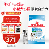 皇家狗粮幼犬狗粮幼犬奶糕宠物小型犬MIJ31全价犬粮2-10月8KG