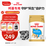 皇家柯基狗粮 幼犬粮  中型犬 12月以下 全价粮CGJ29 3KG【骨骼呵护】