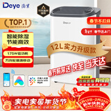 德业除湿机/抽湿机 除湿器12升/天 wifi手机控制 家用轻音吸湿器干燥机地下室干衣机 12L/天 DYD-Z12A3