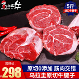 小试牛 乌拉圭原切牛腱子肉  进口生鲜草饲冷冻牛肉 适合卤制 炖煮 牛腱子【5斤装】