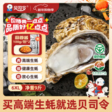 贝司令 鲜活乳山生态生蚝6XL 净重9斤 12-16只 生鲜源头直发 年货送礼