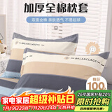 艾薇 A类枕头套纯棉家用全棉单人枕套一对枕芯套 罗马时代 48*74cm