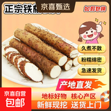 河北正宗麻山药蠡县山药正宗铁棍山药煲汤孕妇儿童辅食药食同源 3斤（40cm左右） 含箱