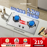 荣事达燃气灶天然气液化气煤气灶双灶嵌入式家用直喷鸳鸯大火力熄火保护天然气聚能灶具九头猛火灶 [店热销TOP1]不锈钢大面板 瓶装液化气5.0kw【部分火力以产品信息为准】