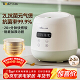 小熊（Bear）电饭煲2~3人 家用迷你小容量电饭锅 2L智能快煮饭多功能智能预约煮粥锅微压煮饭锅 DFB-Q20B2