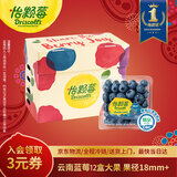 怡颗莓Driscoll's云南蓝莓Jumbo大果18mm+12盒约125g/盒 水果年货礼盒