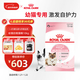 皇家幼猫奶糕 幼猫猫粮 BK34 通用粮 1-4月 10KG