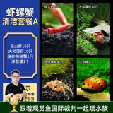 云峰海瑞黑壳虾清洁虾观赏虾活体淡水 鱼缸水族箱水草缸清洁除藻淡水宠物 虾螺蟹清洁套餐A
