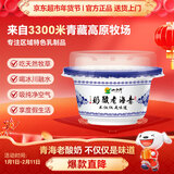 小西牛 青藏奶源老酸奶原味老酸奶150g*12碗 源头直发