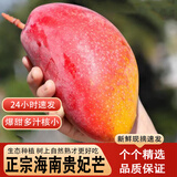 鲸咚亿农海南三亚贵妃芒正宗红金龙芒果树上熟当季新鲜水果特产礼盒整箱 9.5-10斤大果精选装净重9斤