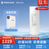 滨特尔（pentair） 净水器家用直饮净水机厨下大流量智能显示反渗透无桶纯水机E5/E7滤芯 E7-C2  RO反渗透滤芯