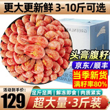 鲜味时刻北极甜虾 新鲜北极虾熟冻甜虾大号冰虾90-120规格腹籽甜虾海鲜水 北极甜虾 1500g(净重) 精品款