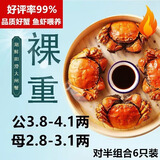 【活蟹】湖鲜阳澄大闸蟹公3.8-4.1两 母2.8-3.1两3对6只年货送礼鲜活螃蟹礼盒源头直发