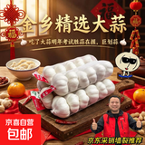 山东金乡蒜大蒜出口标准精选大蒜头蔬菜调料单果5cm 出口标准网兜装箱 1800g 5-5.5cm特大