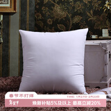 艾薇高弹沙发抱枕芯 方枕芯汽车靠垫芯腰靠芯床头靠枕芯50*50cm单只装