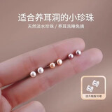 DAISY DREAMS999银彩色淡水珍珠耳钉女养耳洞睡觉免摘耳环小众高级耳饰 3mm浅紫色淡水珍珠【999银】