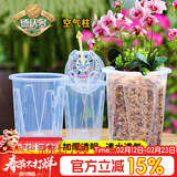 德沃多控根透明花盆16(含托)*10园艺绿植盆栽种植盆花卉种菜多肉塑料盆