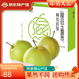 梨贡士隰县梨园 山西隰县玉露香梨 临汾馆玉露香梨脆甜多汁梨子特产 12颗大果（8斤装）