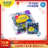 怡颗莓Driscoll's云南蓝莓Jumbo大果18mm+ 2盒装 约125g/盒 新鲜水果