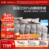水星家纺羽绒被95%白鹅绒被子冬季加厚冬被芯单人羽绒被150cm×210cm-800g