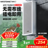 威斯汀吸顶音响家庭影院壁挂式喇叭户外防水有源音柱5002一个 学校商用超市店铺公共广播音箱峰值功率40W