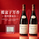 菲特瓦红酒法国原瓶进口勃艮第金丘干红葡萄酒AOC黑皮诺年货礼盒送礼