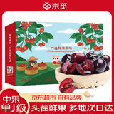 京觅 大连樱桃美早车厘子 J级净重2.8斤 单果8-10g 水果源头直发