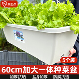 原起点 长方形种菜盆(18L)大花盆阳台塑料种菜箱懒人神器长条蔬菜种植箱 【加厚款】牛津灰5个
