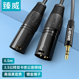 臻威(ZHENWEI)3.5mm转双卡侬公头音频线 3.5转卡侬 XLR卡农电脑声卡接音响连接线功放调音台线