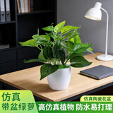 悠梵萌仿真绿萝盆栽绿植套装塑料花家居室内客厅茶几绿叶阳台装饰品摆件