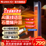 格力（GREE）取暖器暖风机电暖风制热风机速热立式电暖气WiFi家用卧室电暖器大面积烤火炉小太阳 石墨烯速热-NTFG-X7022B-语音操控款