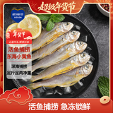 鲜到鲜得 冷冻海捕小黄鱼450g 黄花鱼 生鲜 鱼类 海鲜水产 年货
