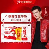 银鹭花生牛奶整箱装250ml*20盒豆奶饮料早餐奶蛋白营养 花生牛奶250ml*20盒