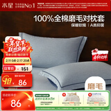 水星家纺枕套纯棉100%全棉磨毛柔感对枕套抑菌A类枕头罩一对装双人48x74cm